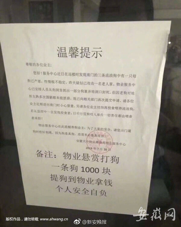 又硬又粗进去爽A片大学生