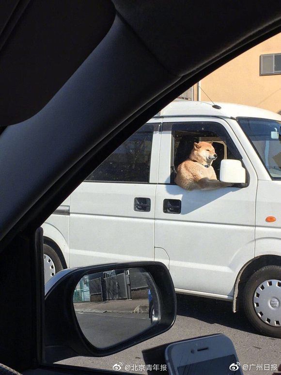 女生隐私免费看