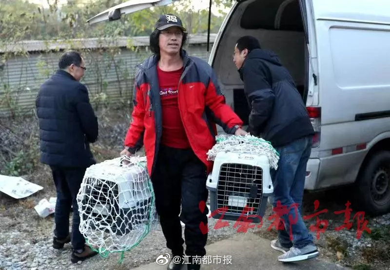 调教精牛肉屌体育生