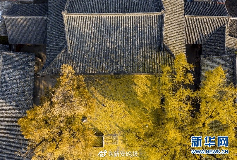 Free另类Xxxx性中国古装