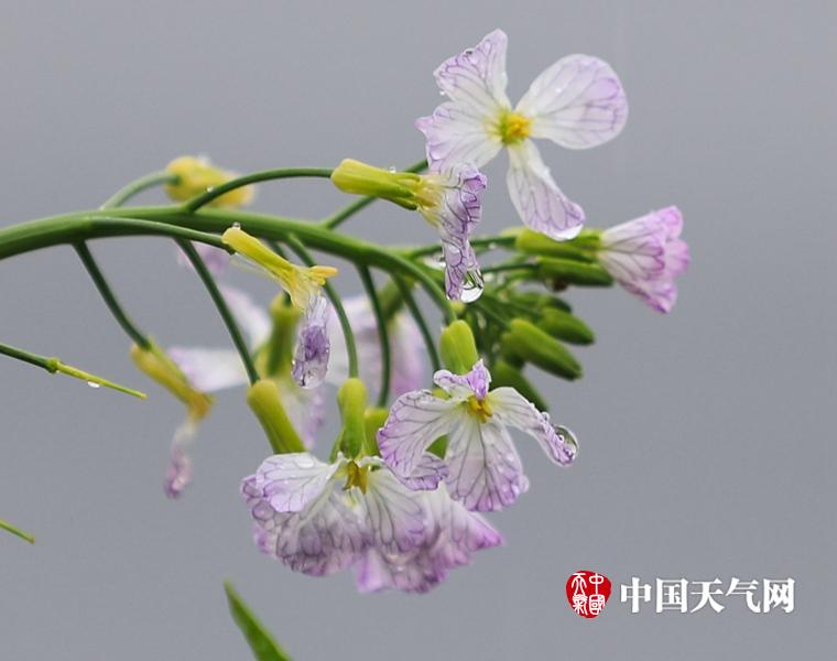 美女裸体网站