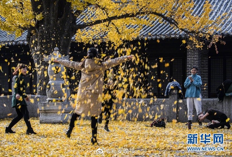 谁有黄色网站免费