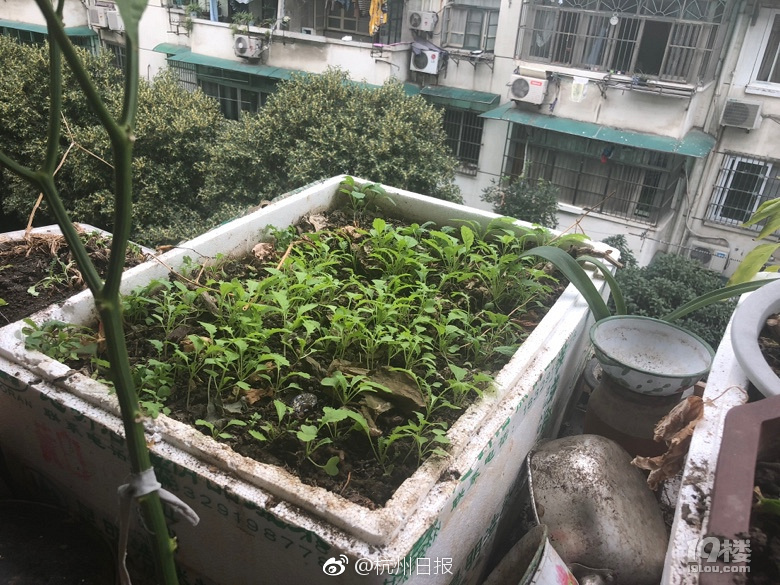 亚洲综合一区二区三区