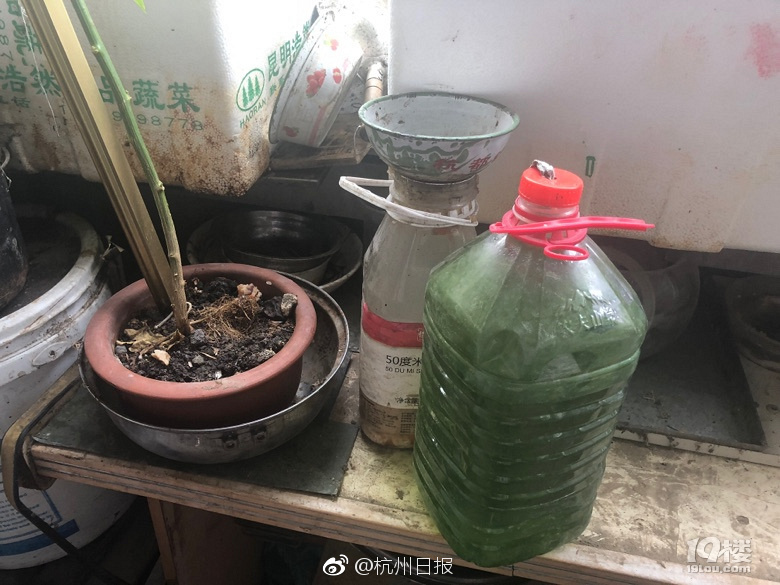 变成隐身人在学校做像素游戏