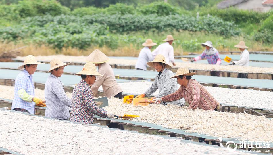 91手机帮手怎样修正白苹果