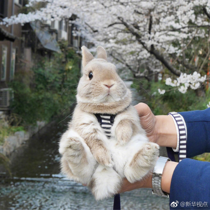 好色先生tvapp