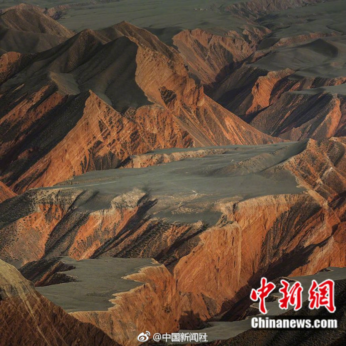 免费播放黄色淫秽视频