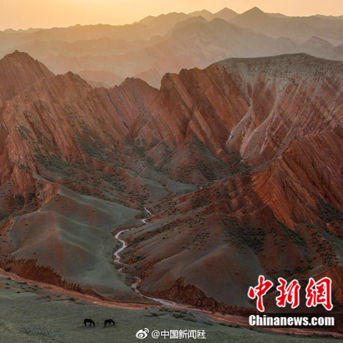 欧美理伦片在线看