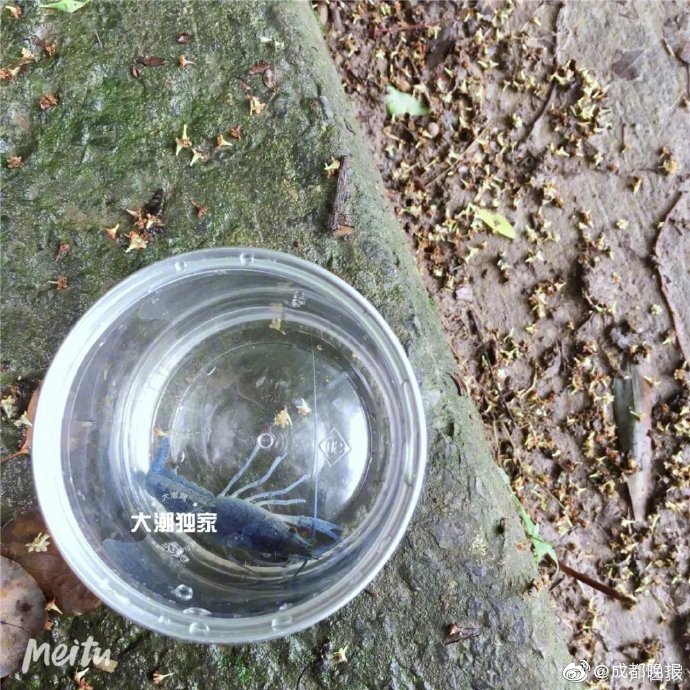 酒吧KTV里玩鸭男少爷