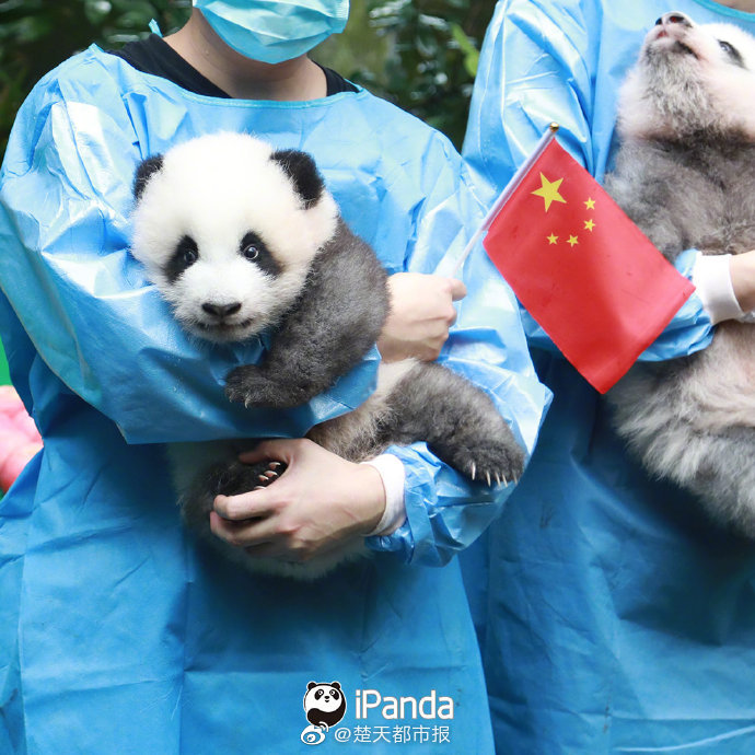 榴莲视频污污污