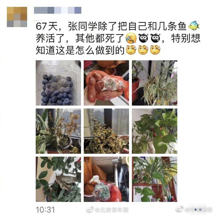 黄色 电影 大全