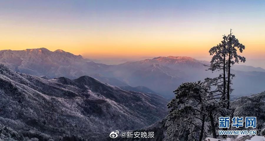 多毛Freeoprn熟妇多毛Y