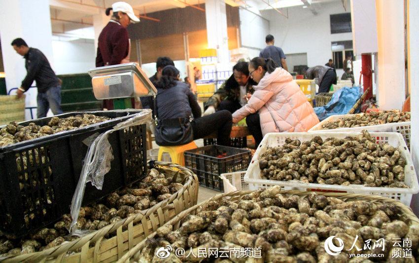 国产又爽 又黄 免费软件