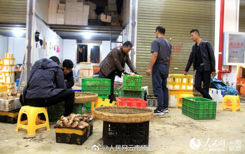 两个女生做酿酿酱酱的视频大全