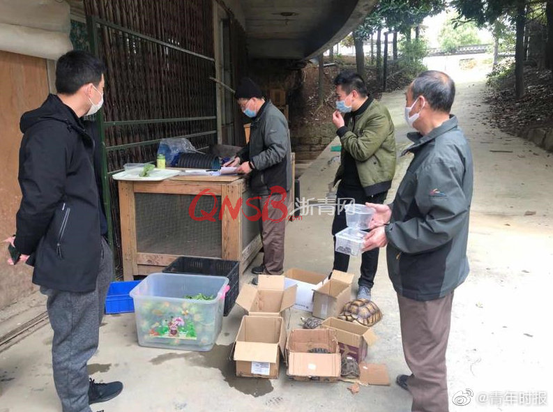 动漫 色情 网站