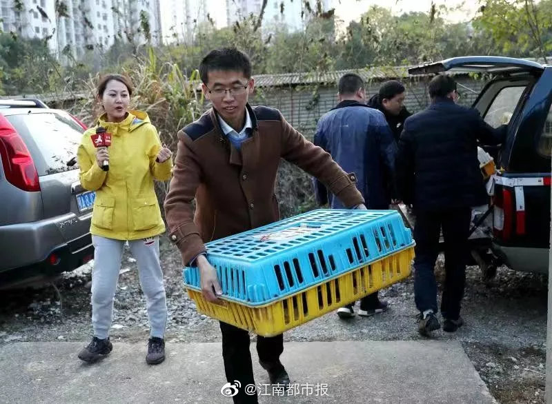 不知火舞被操