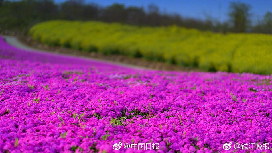 韩国一级三级片