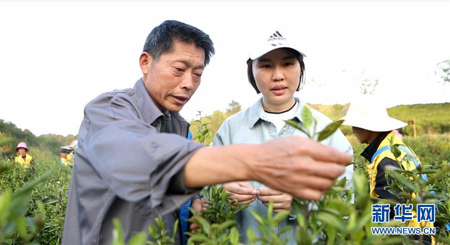 最全的驱动人生运用操作攻略,让您轻松办理电脑驱动