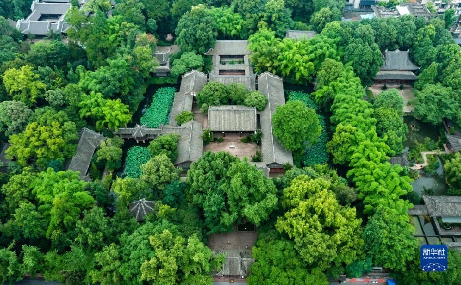 欧洲骚妇