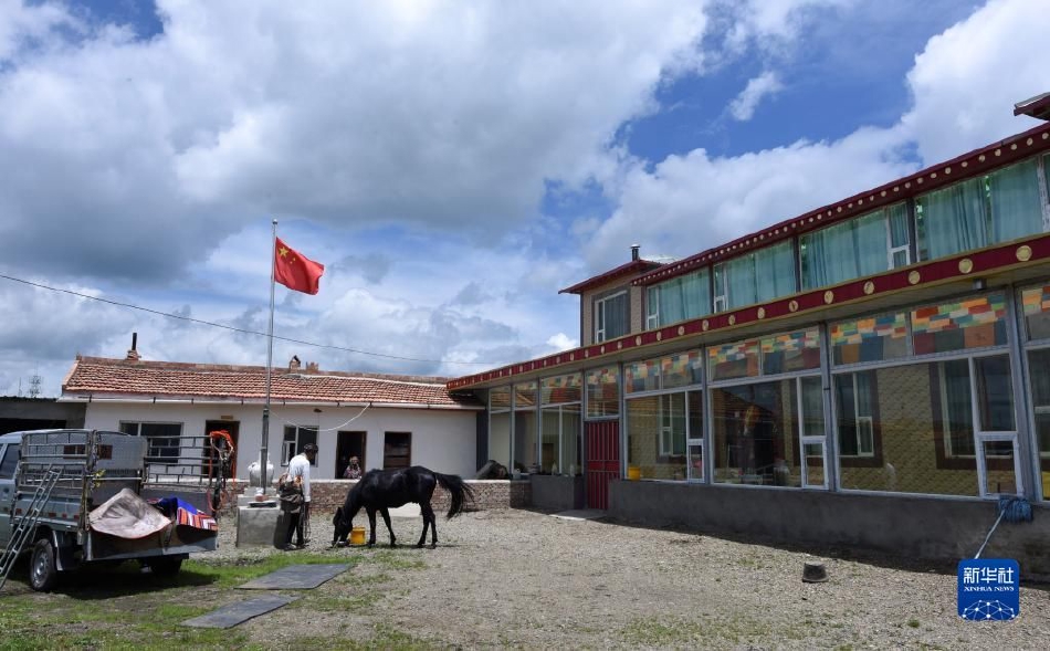 黑寡婦