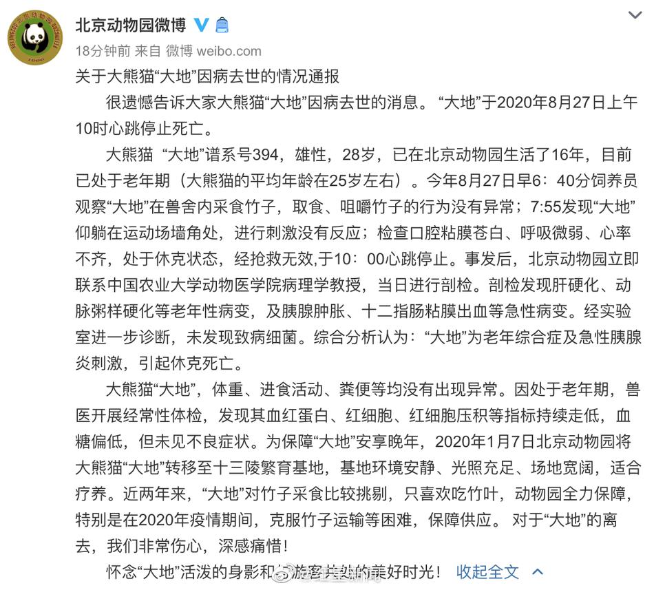 免费 成 人 黄 色 软件
