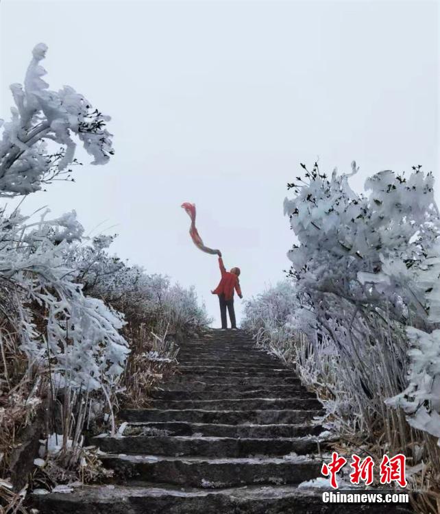 涩多多