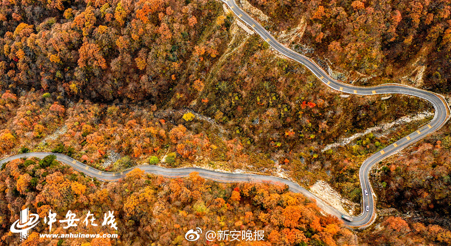 亚洲一二三