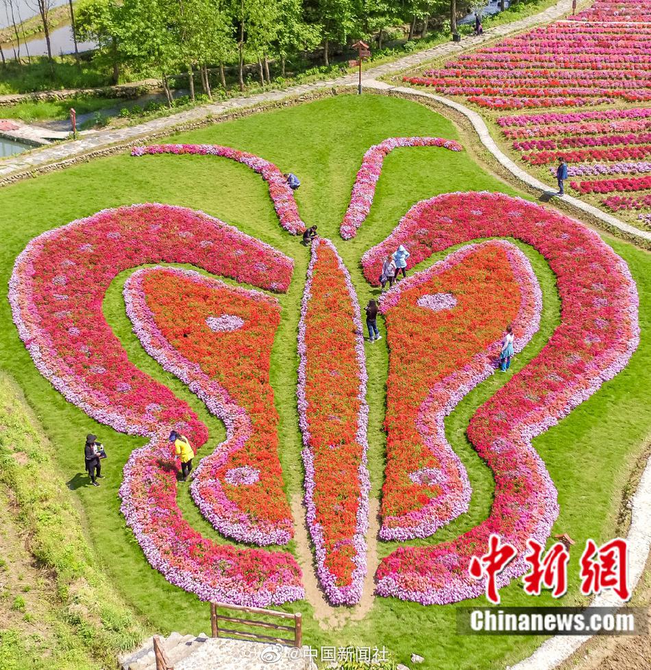 中文一区