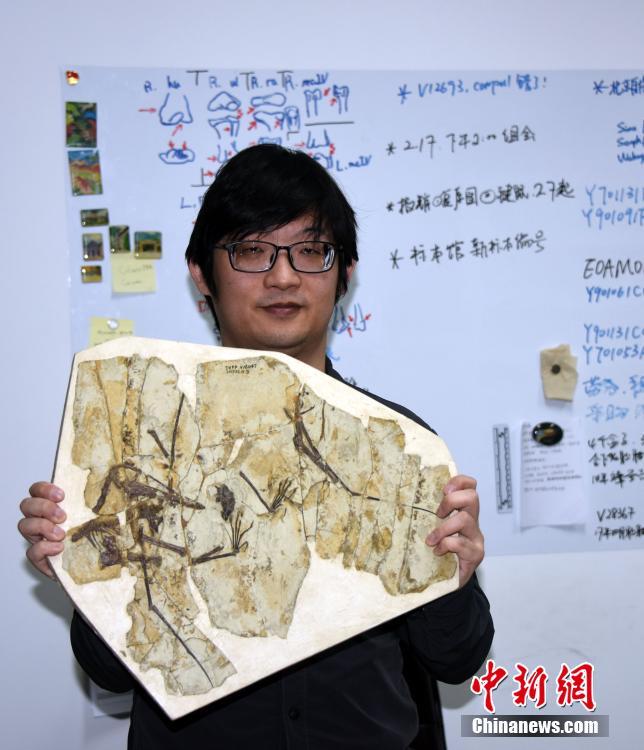 美欧黄色网站片