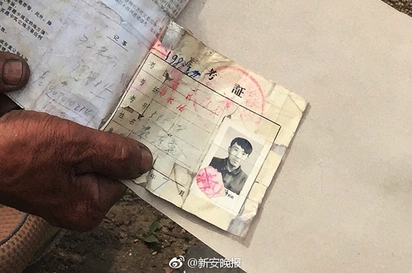 欧美AAA片