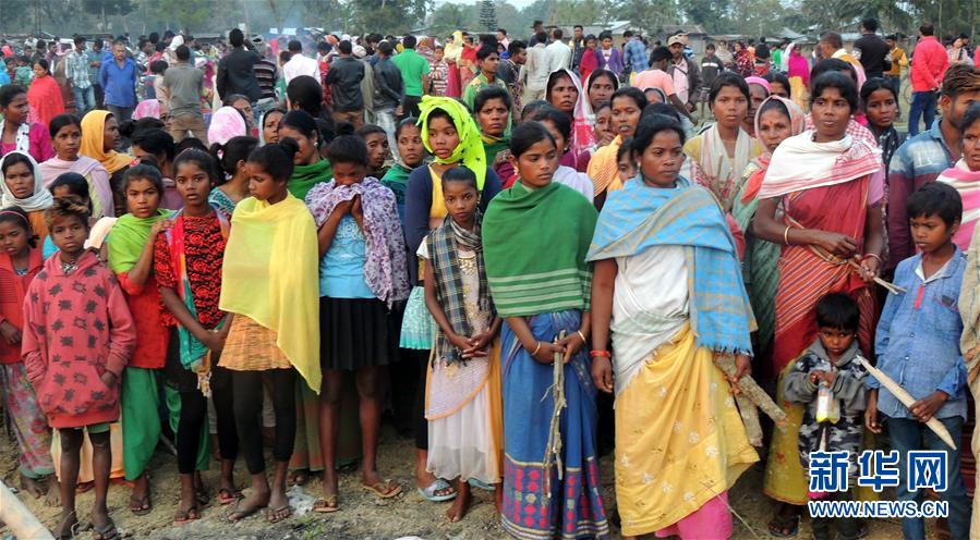 骰寶乾坤：在三枚骰子的碰撞聲中，聽見命運與智慧的迴響 