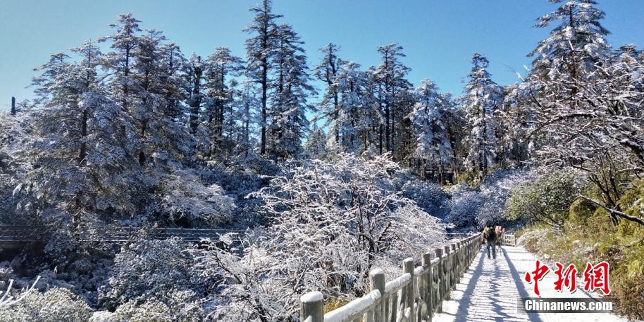 唐山市人大常委会主任杨洁被查：涉嫌严重违纪违法！