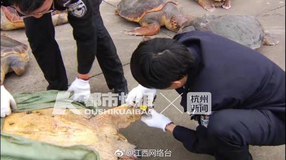 摄影Av在线