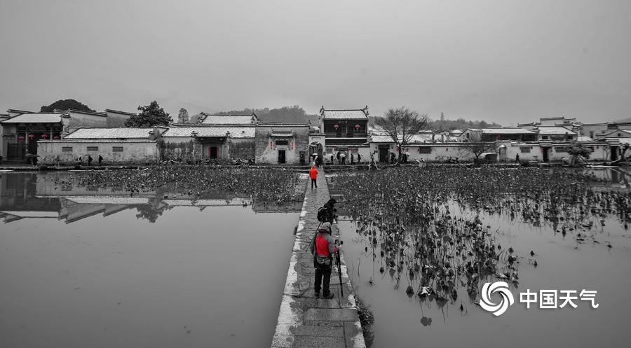 免费无码视频