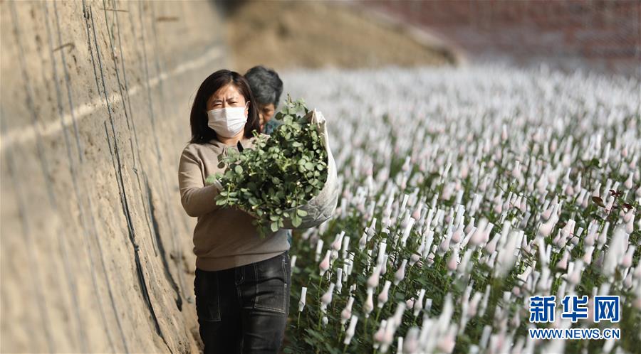 奇才司理：现在没有承认新教练的详细时间表