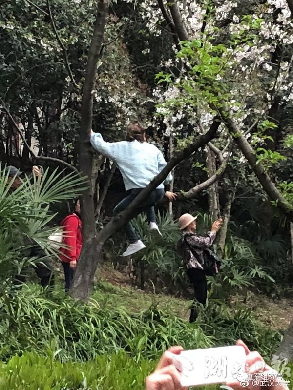 一批青年才俊脱颖而出
