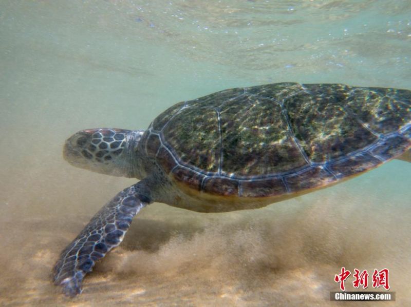 亚洲一区在线视频