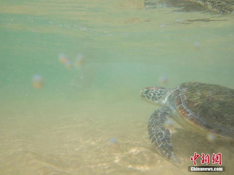 偷拍美女洗澡1区2区3区视频