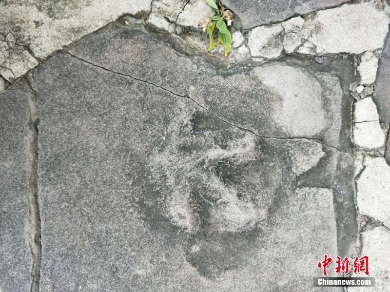 国产又爽 又黄 免费视频