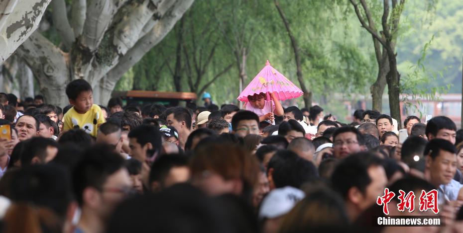 黄色A在线