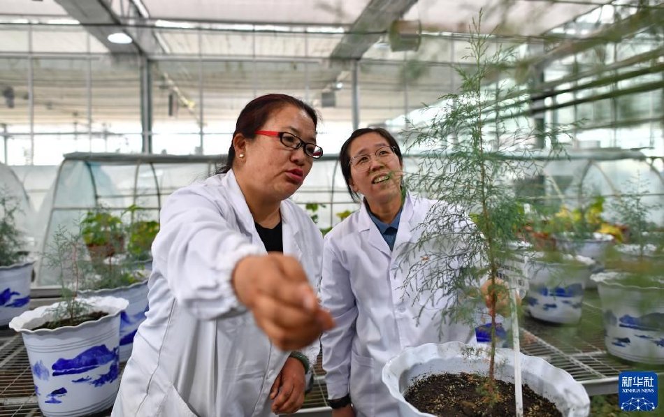 中文無碼卡通