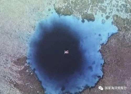 夜月直播下载