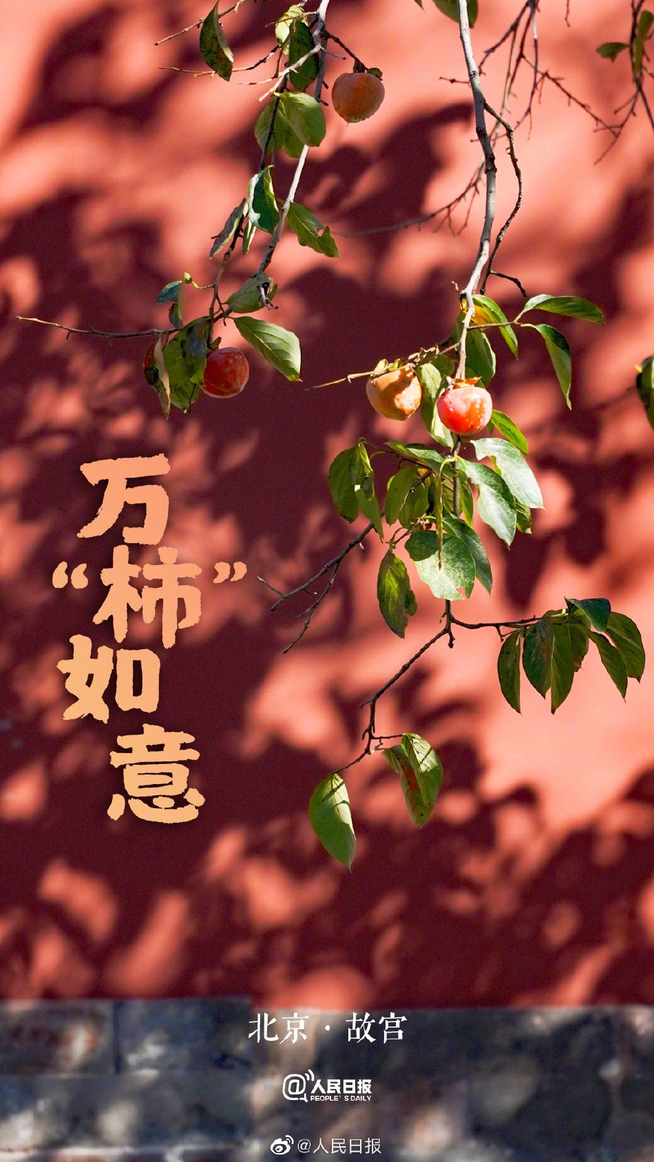 免费 成人 电影 片