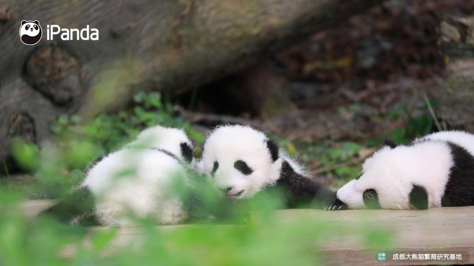 孕妇黄色网站黄色录像孕妇黄色录像