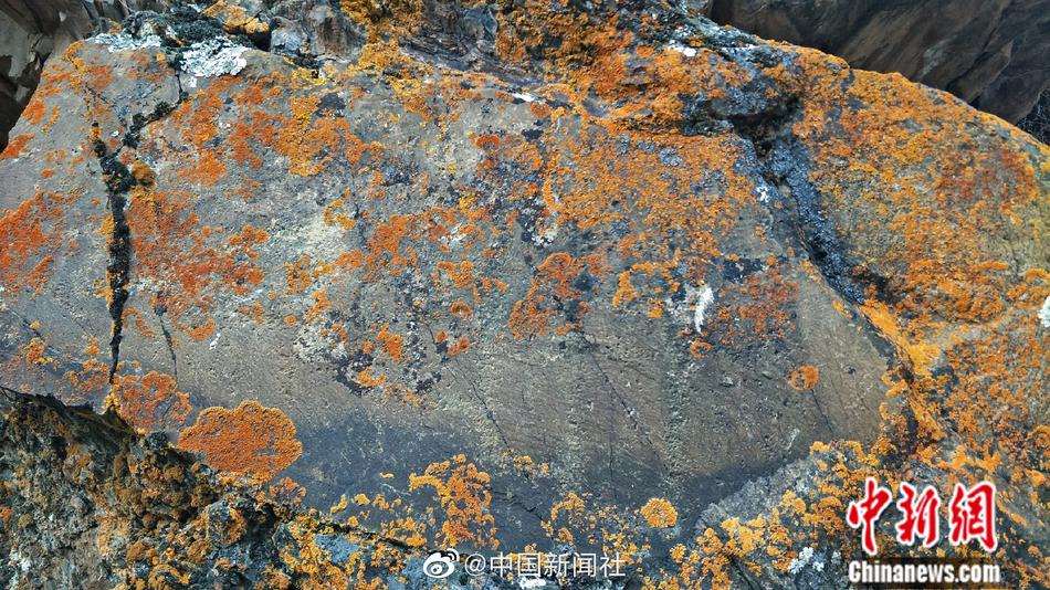 亚洲免费精品