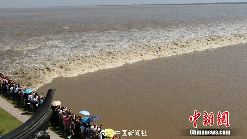 老头同性XXXXX老汉