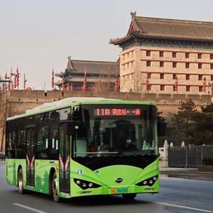 女人又爽?又黄?视频在线看