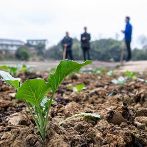 91丨国产丨精品丨丝袜