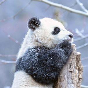 18     网站