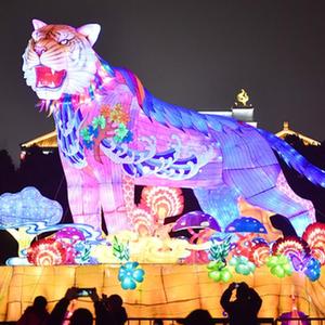 国产老年操逼